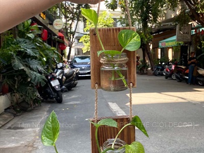 Tấm gỗ lọ thủy tinh treo tường thủy canh nhiều tầng [2 màu - 3 Size] BINHLOHOA-06